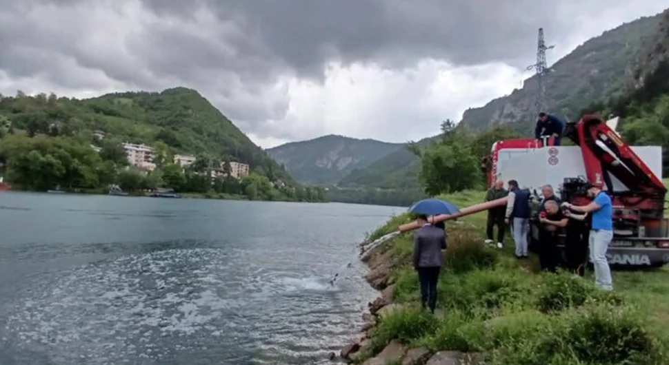 drina porivljavanje.webp